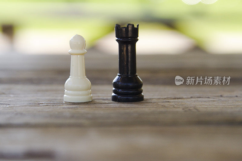 的国际象棋