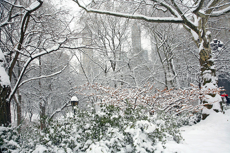 暴风雪过后的中央公园