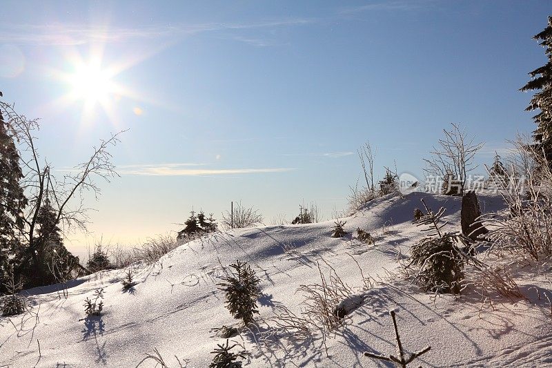 冬天的风景与雪在黑森林