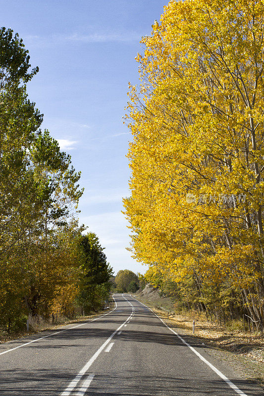 乡间道路在春天