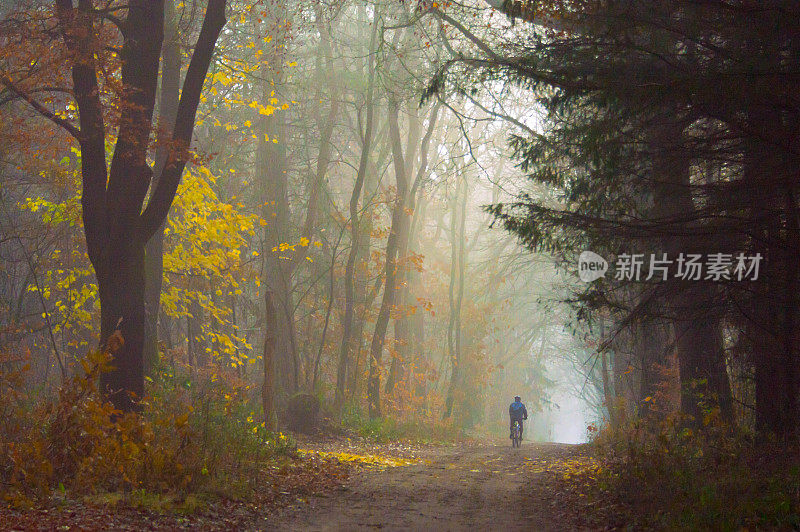 秋天，骑自行车的人在雾蒙蒙的森林里