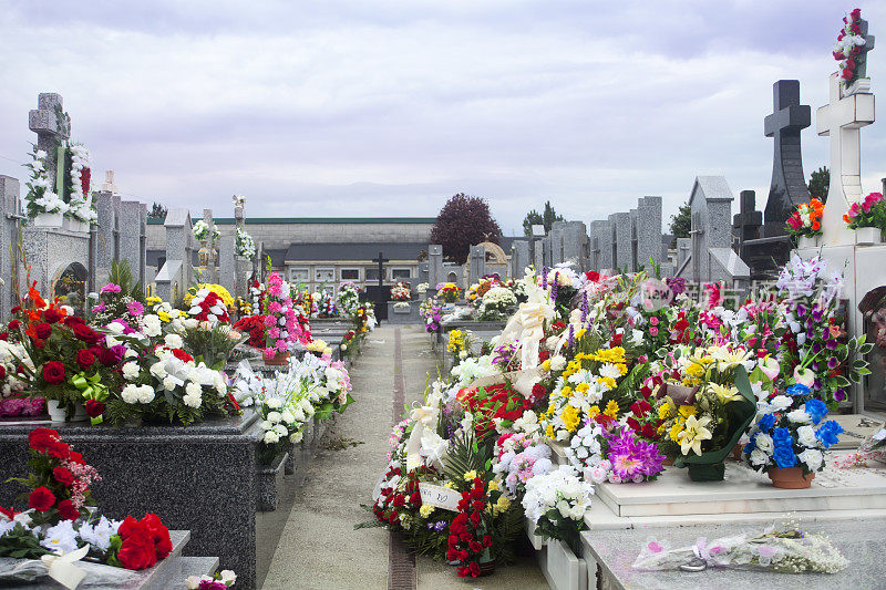 墓地里一排排的十字架和鲜花。