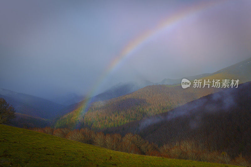 伊朗森林，纳瓦拉，潘普洛纳，西班牙