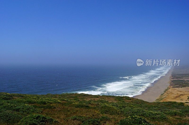 雷耶斯观点