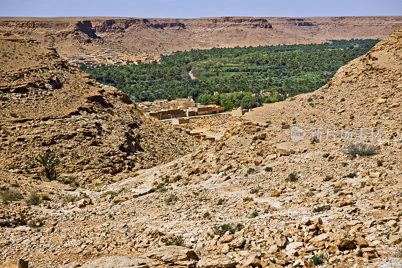 摩洛哥撒哈拉非洲的塔菲拉特绿洲