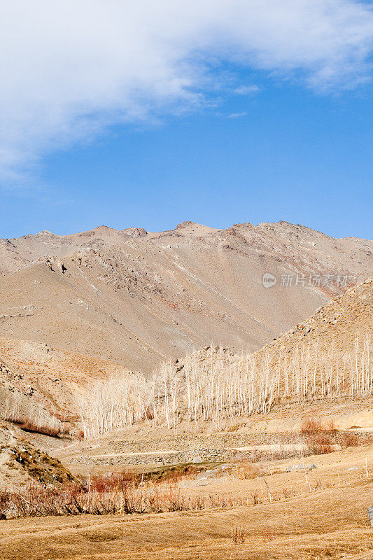 阿富汗景观