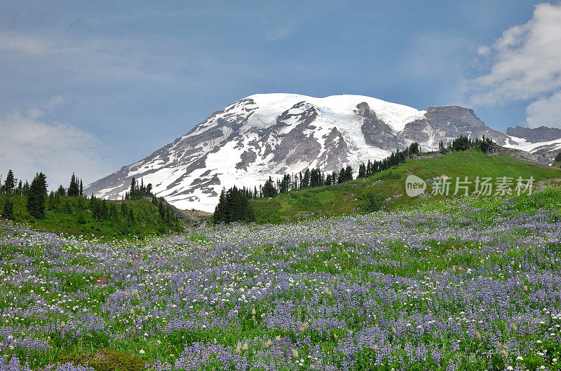 雷尼尔山,佤邦