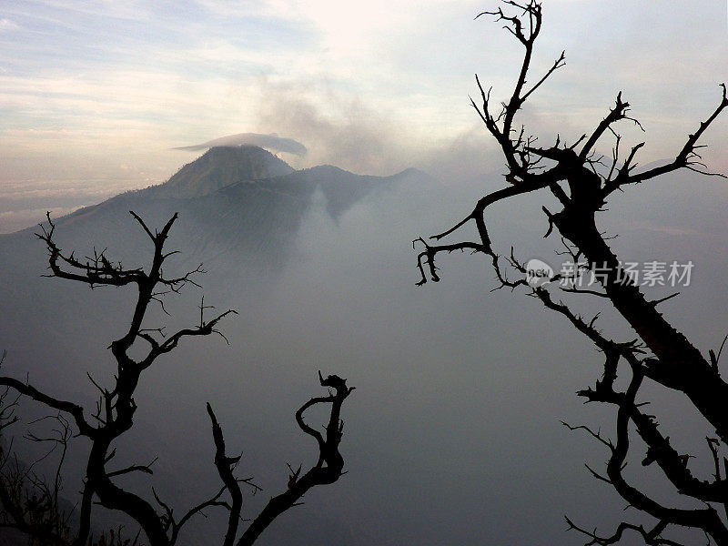 印度尼西亚爪哇东部卡瓦伊真火山边缘的树枝