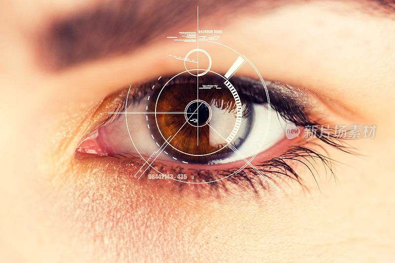 安全视网膜扫描仪在棕色眼睛