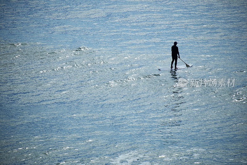 站起来Paddleboarder