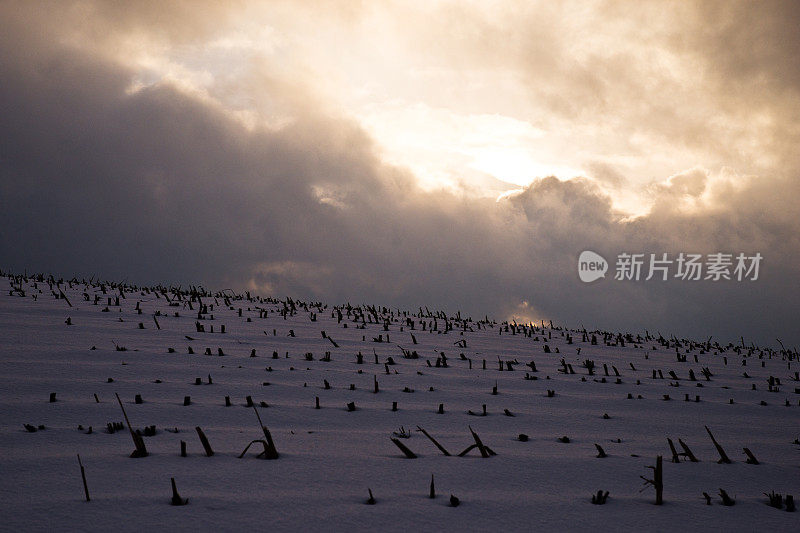 雪覆盖了留茬地和戏剧性的冬季日落