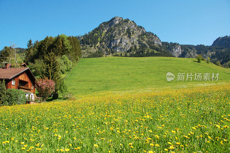 德国阿尔卑斯山的一座山