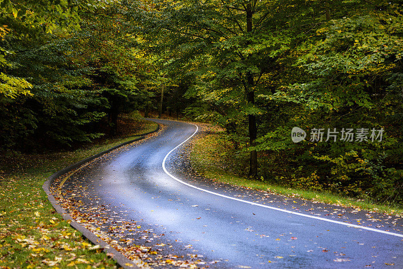 弯曲的道路