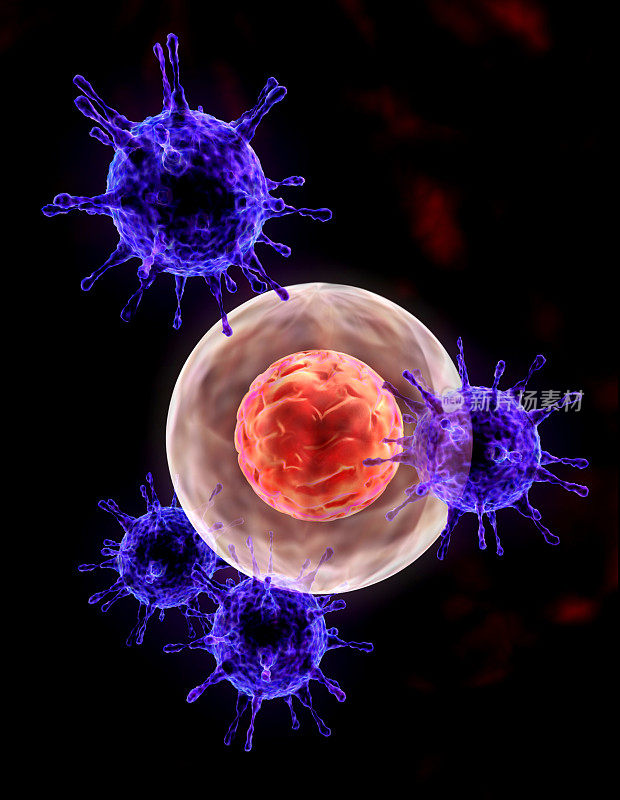 被病毒、细菌攻击的胚胎分裂的医学插图