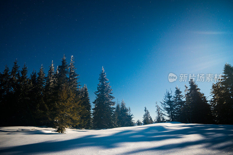 雪山里的夜月