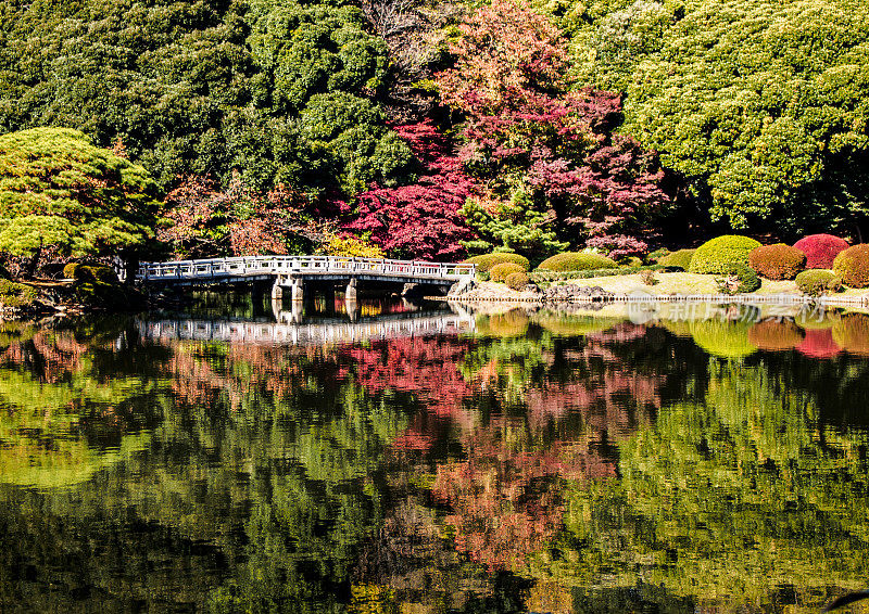 一座白色的桥横跨池塘，池塘里的水倒映着公园里的树木和红叶