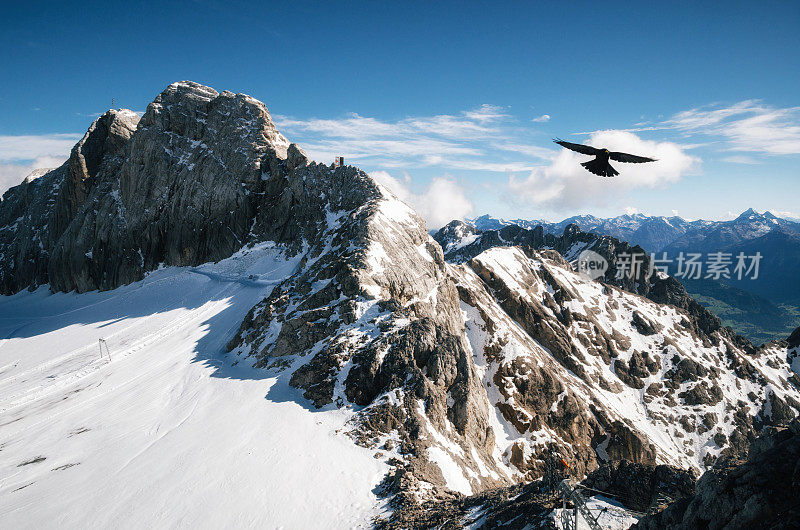 鸟飞过达赫斯坦冰川，奥地利。