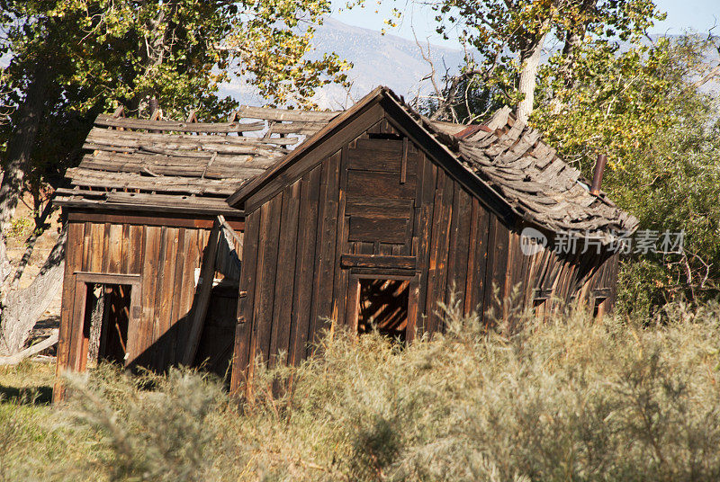 在加州主教附近的牧牛牧场里的一间废弃的农舍