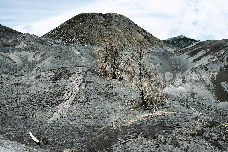 印度尼西亚东爪哇腾格塞墨鲁火山上的布罗莫火山周围的干旱景观