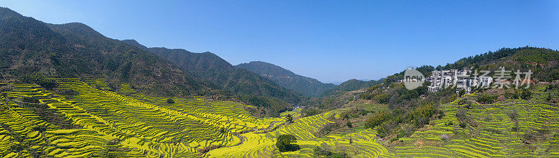 中国婺源黄陵的春景