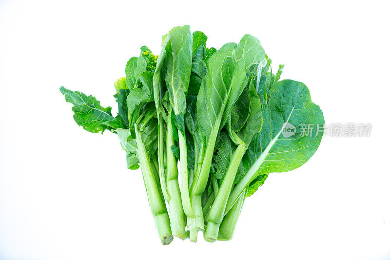 几束小白菜，孤立在白色背景上。亚洲绿叶蔬菜。