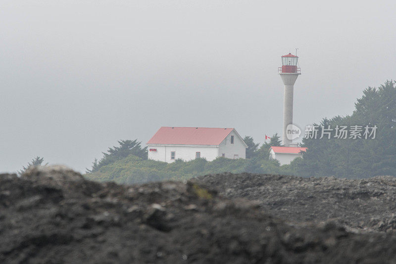 西海岸