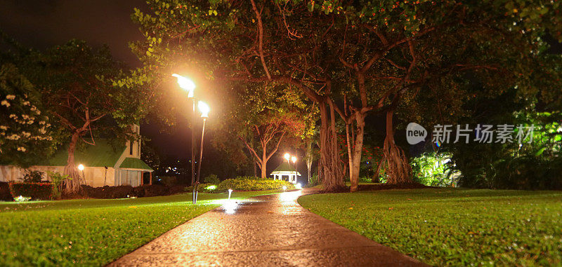 夏威夷晚上穿过公园的小路