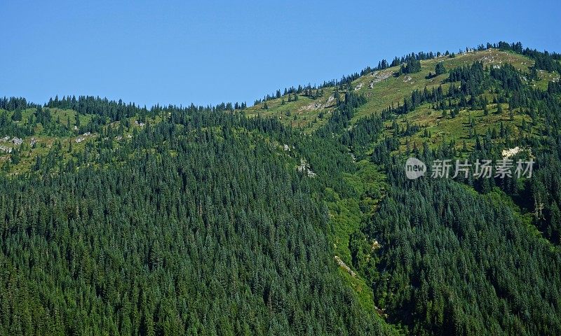 高山湖泊荒野草甸