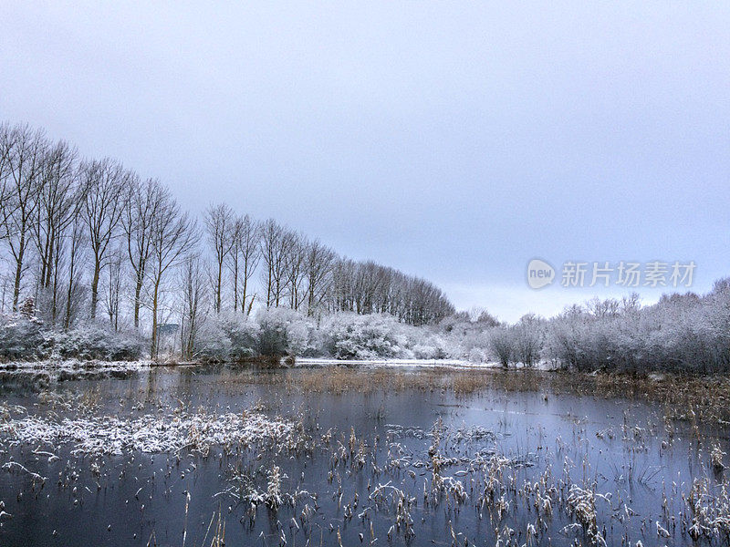 萨尔布鲁公园的雪。威托利亚-加斯泰兹。西班牙