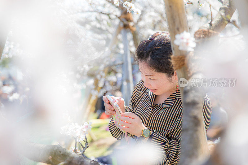 日本女人拍照的花