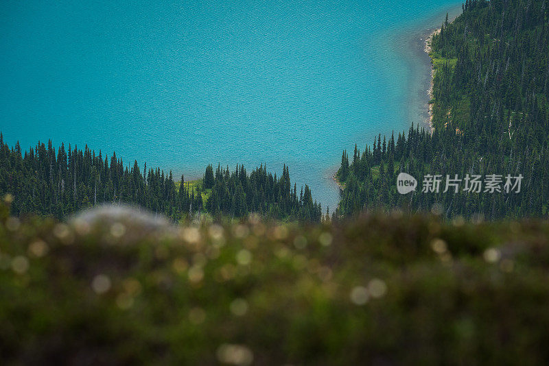 美丽的山景