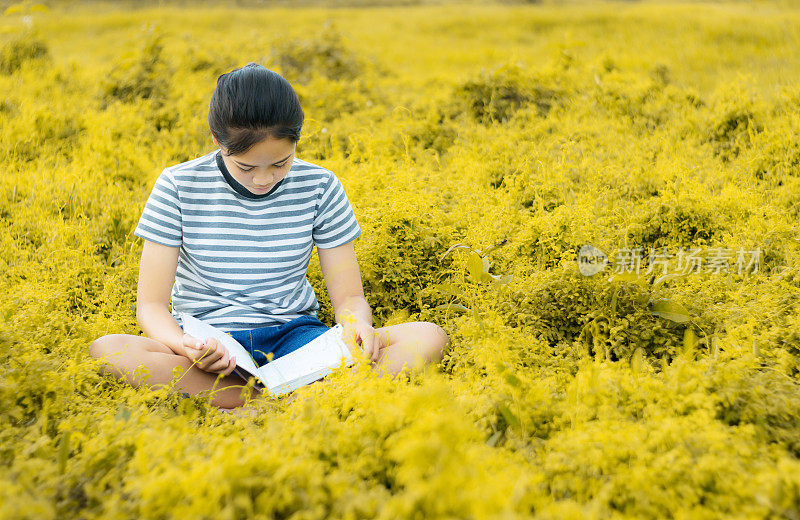 小女孩在金色草地上看书naturà