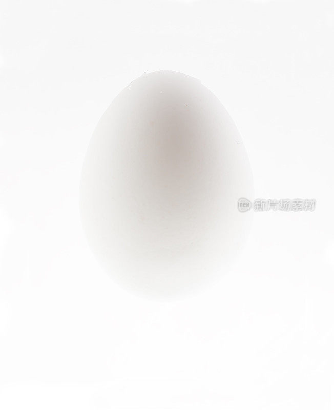 白色背景下的鸡蛋