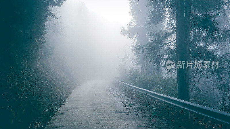 神秘的森林与道路在雾