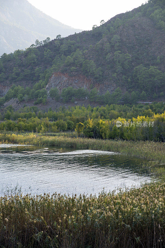 湖景