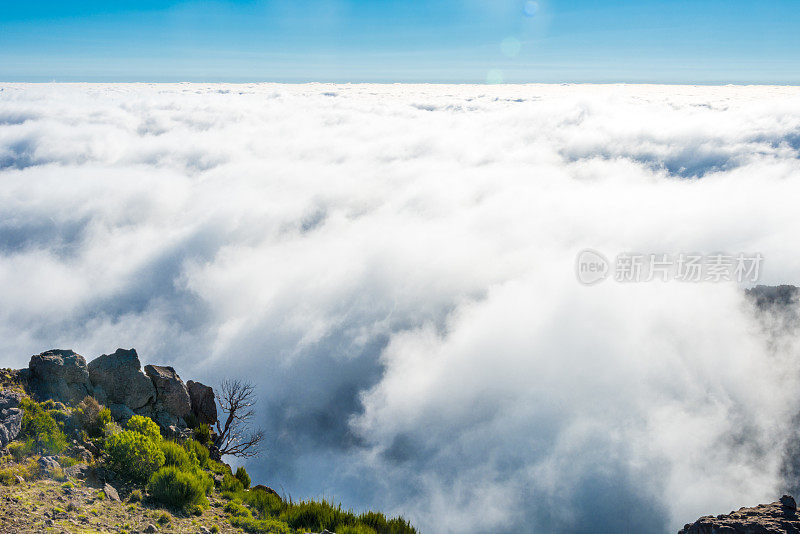 山上云雾缭绕，阴森森的小山