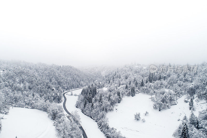 鸟瞰图的道路在积雪覆盖的树木