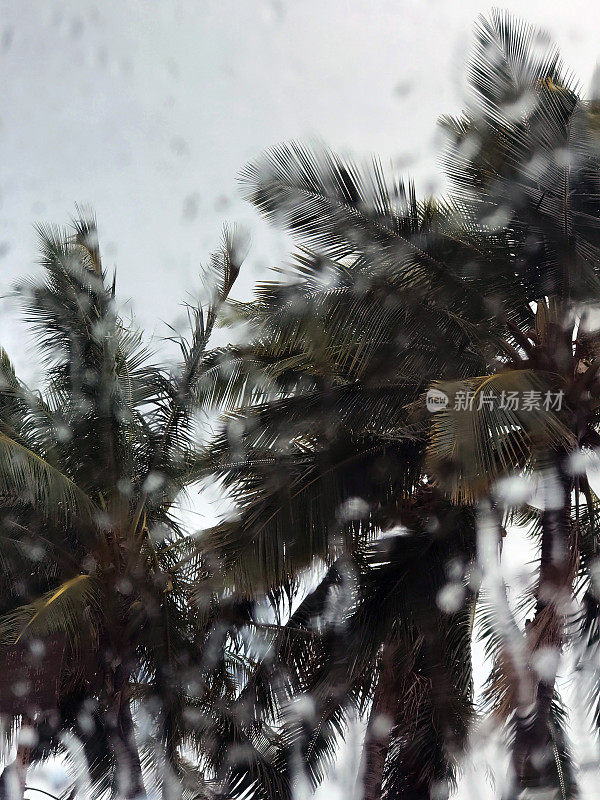 棕榈树和雨滴落在窗户上，凯卡哈海滩，考艾岛南端，夏威夷