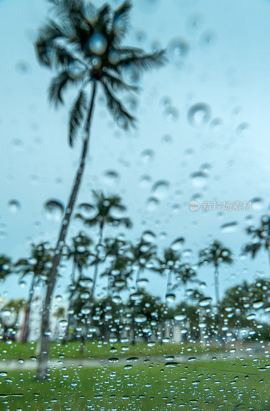 多雨的迈阿密