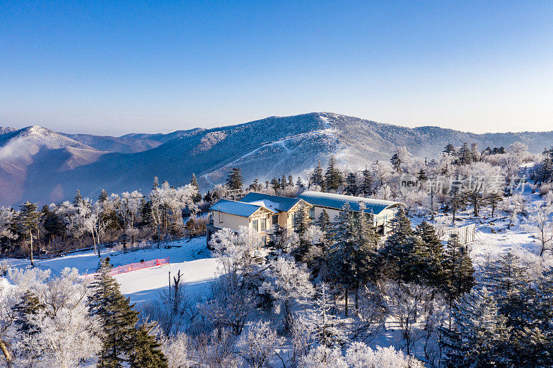 冬季高山滑雪