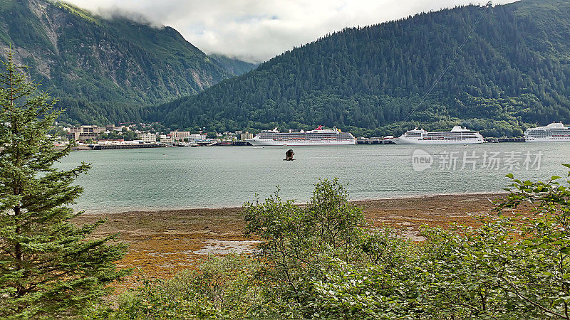 阿拉斯加朱诺码头的风景