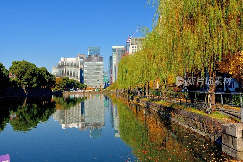 东京丸之内商业区的秋叶