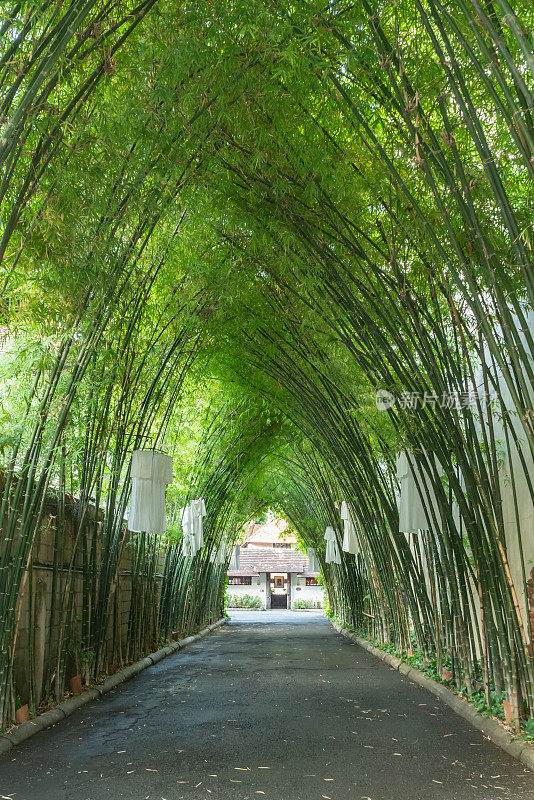 曼谷市景班基提公园