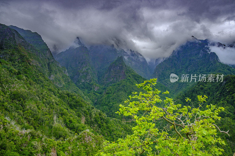 从勒瓦达巴尔科斯，葡萄牙马德拉的绿色山脉的全景