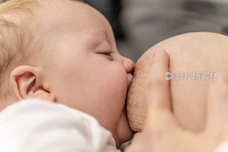 美丽的新生男婴吃母乳的特写镜头