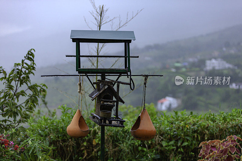 在安第斯山脉的暴雨中一个室外的鸟喂食器-雨滴和背景在大雨的薄雾中模糊。