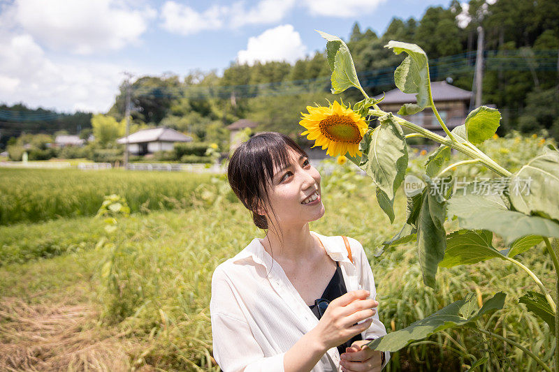 一个年轻女子在农场里看着向日葵