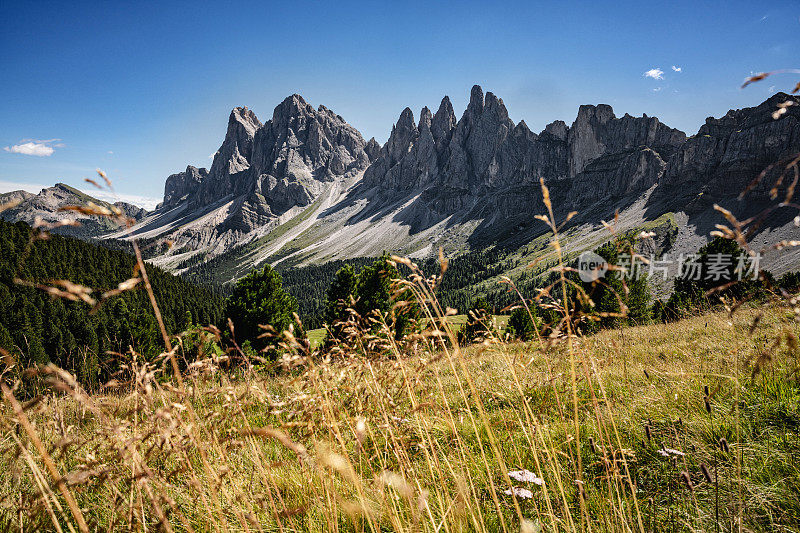 Dolomites上的户外标志性景观:Seceda著名地标