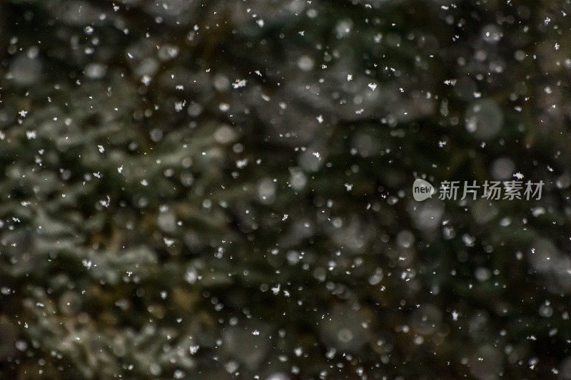 雪落的背景