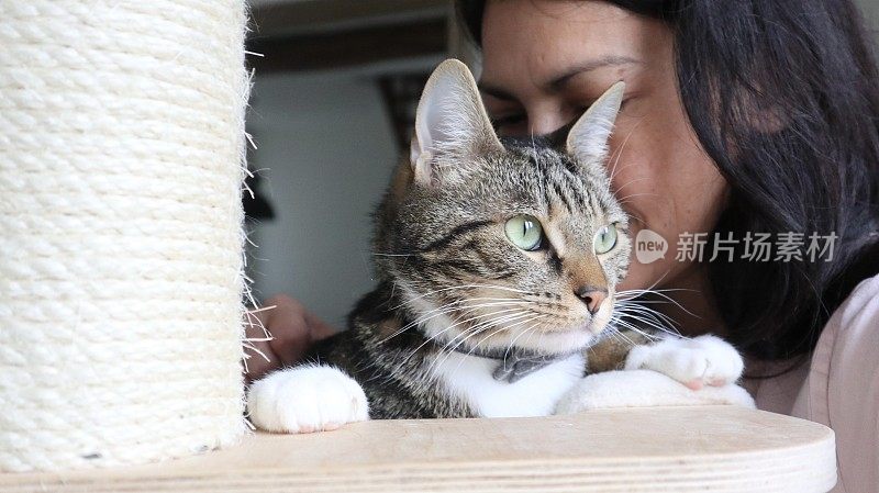 一个女人和一只可爱的猫在客厅里放松